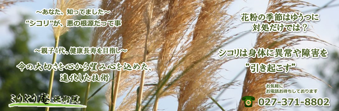 慢性鼻炎を最短で克服する最も効果的な方法ご紹介高崎市こりとり庵