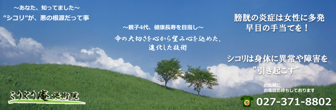 膀胱炎を最短で克服する最も効果的な方法をご紹介高崎市こりとり庵